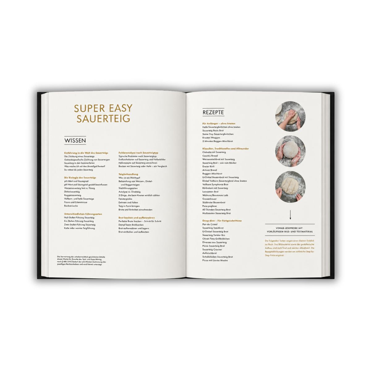 Marcels Backbuch - "Super easy Sauerteig"