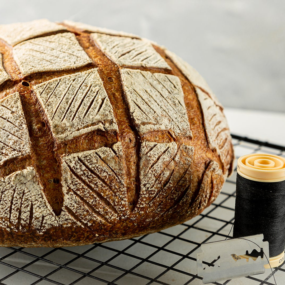 Bread Scoring Quadrat