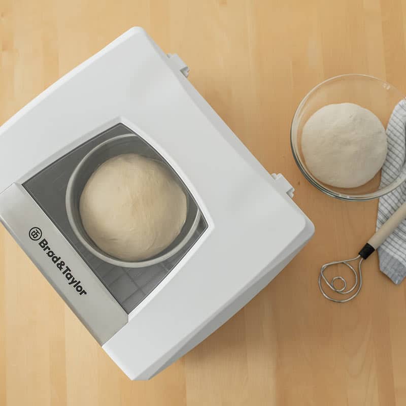 Teig in Gärbox und Schüssel