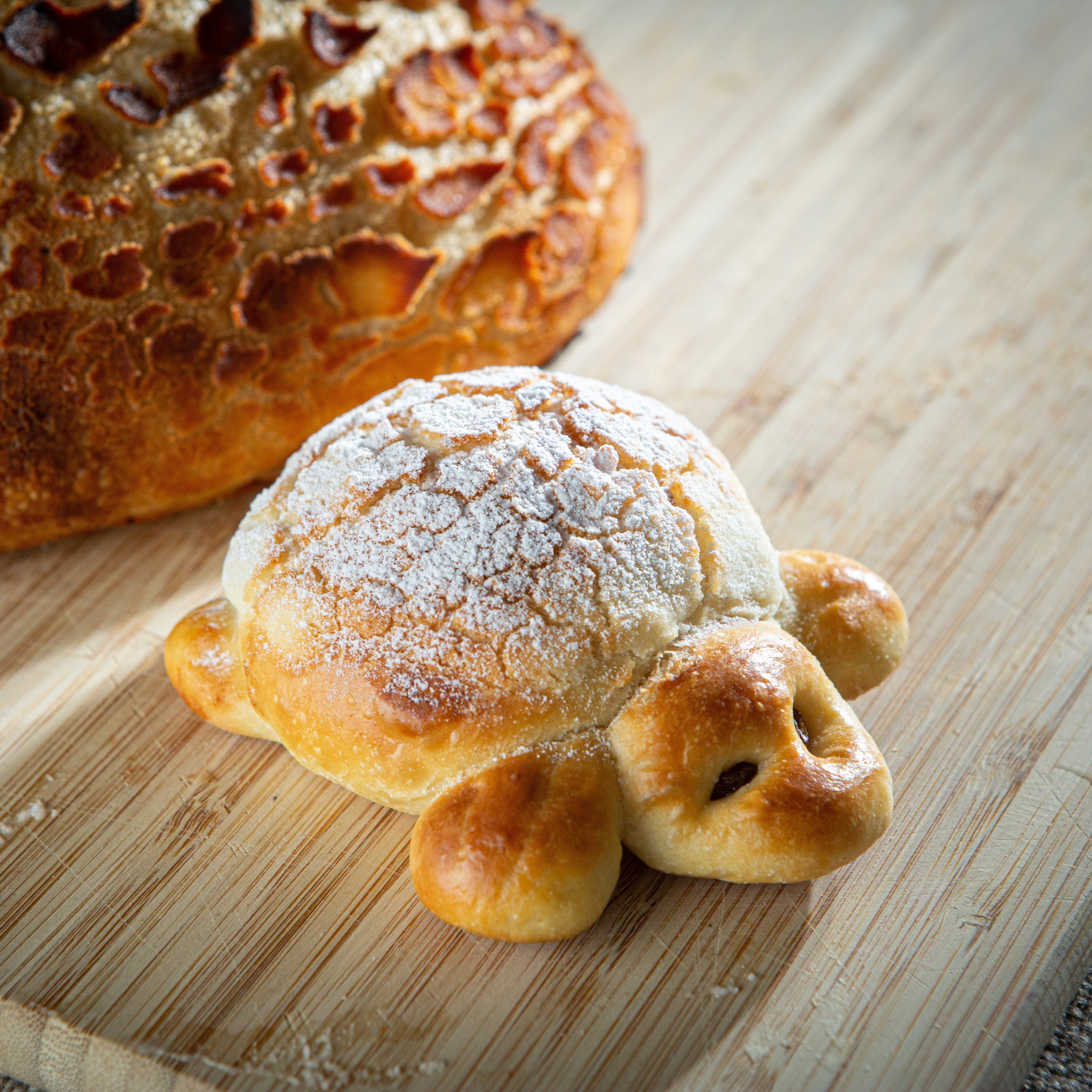 Brot Handwerkskunst Krusten Schildkröte