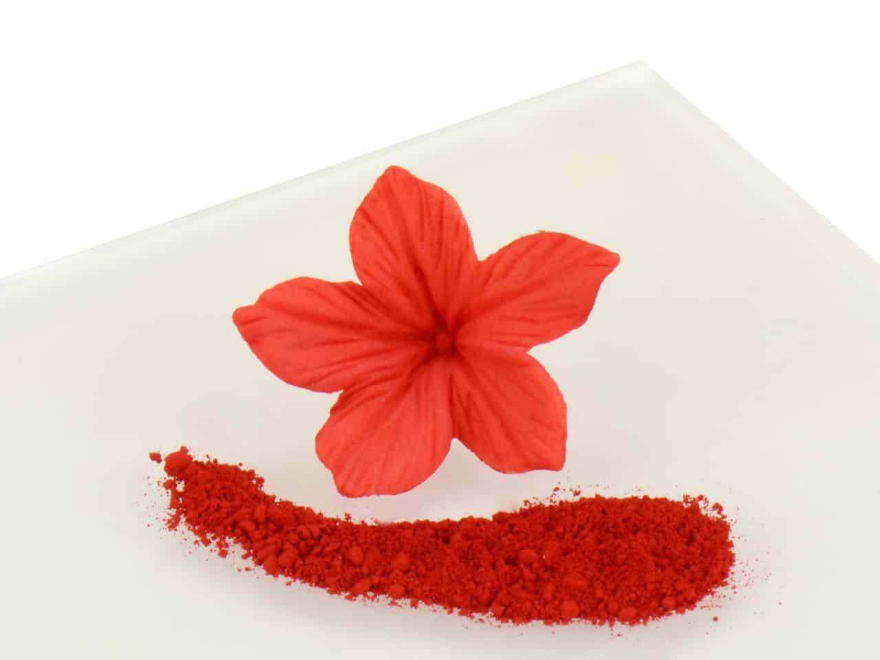 Puderfarbe Chili Red 2 g V01