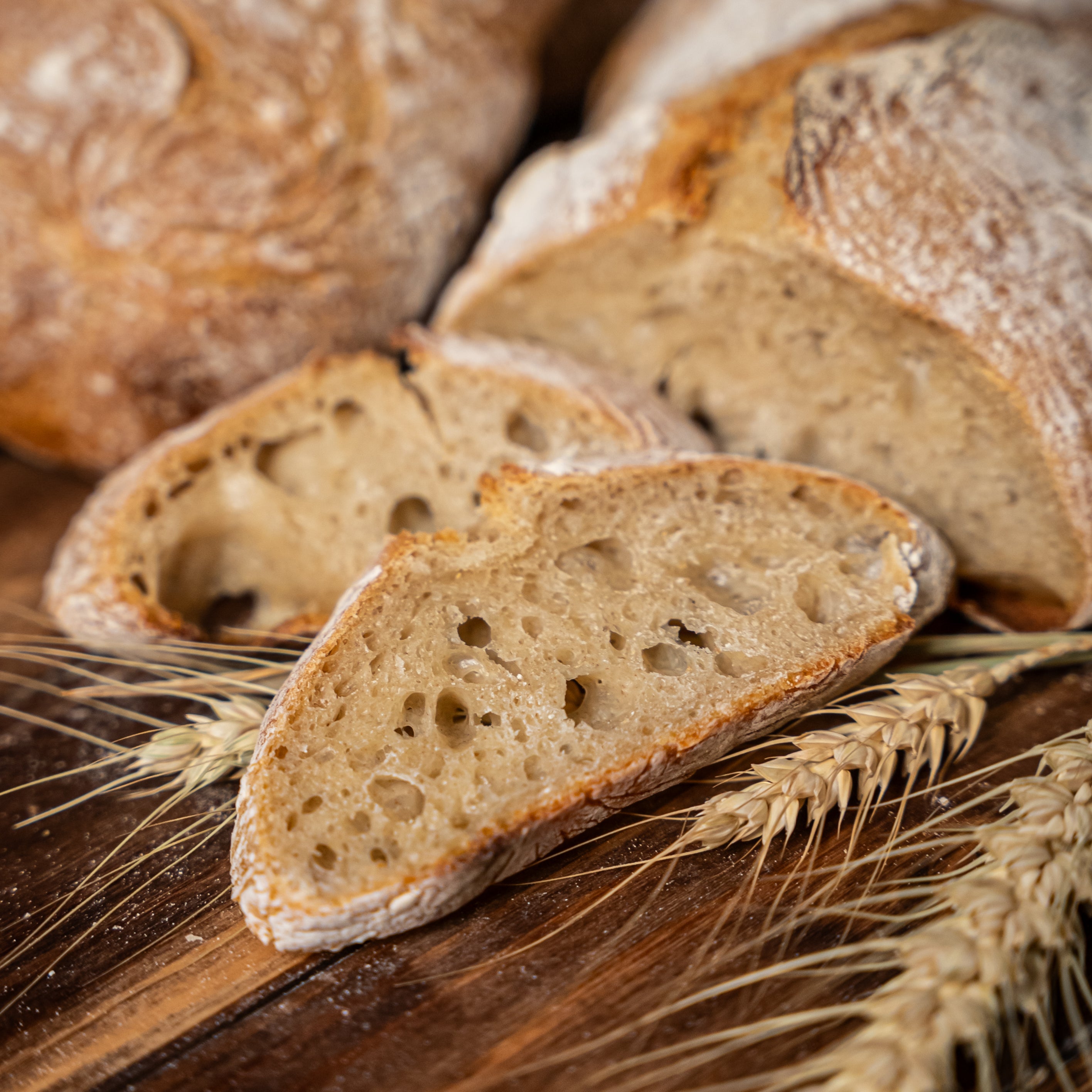 Ciabatta Brötchen