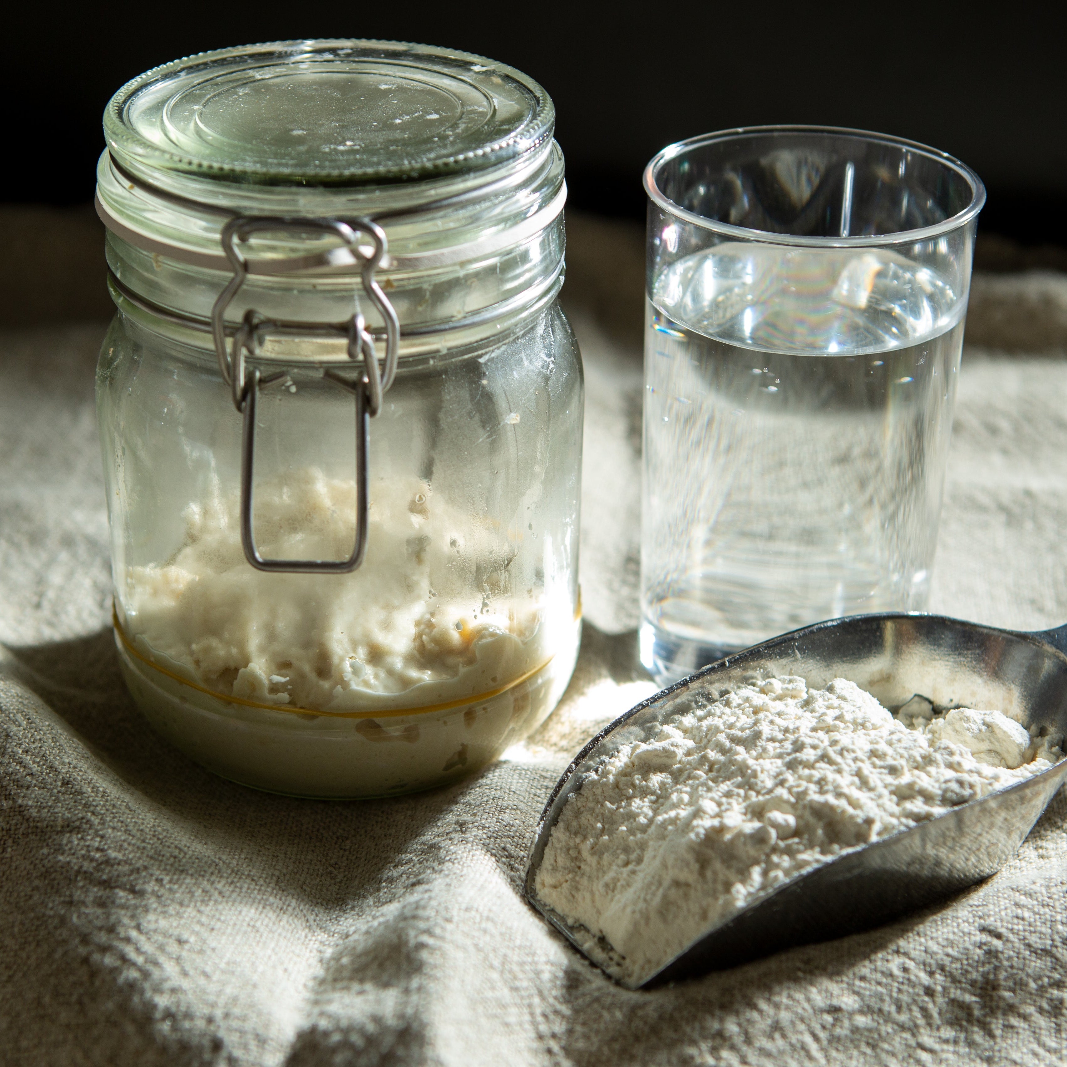 Lievito Madre Glas mit Wasser