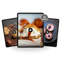 Patisserie Komplett – 5 Online-Kurse