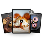 Patisserie Komplett – 5 Online-Kurse