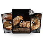 No Knead & Zeitplanung – 5 Online-Kurse
