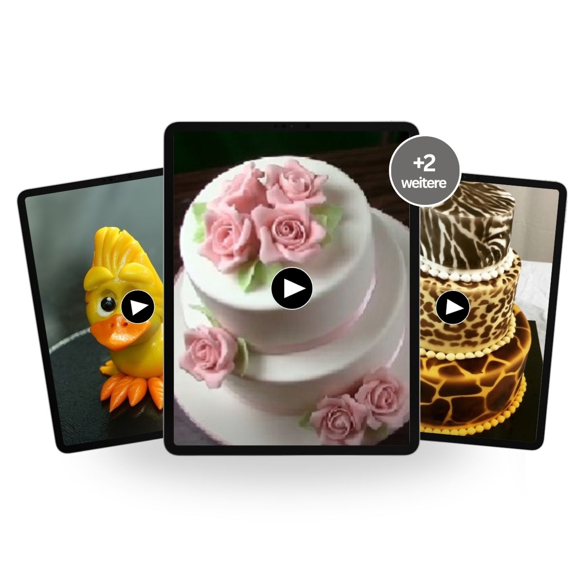 Cake Design Komplett – 5 Online-Kurse