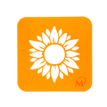 Sonnenblumen-Schablone aus Kunststoff