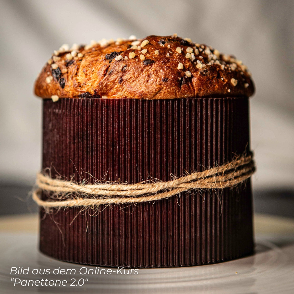 Panettone