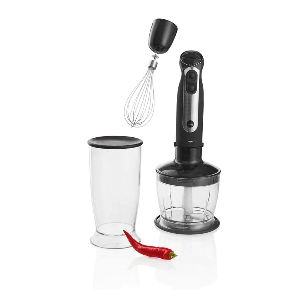 Stabmixer Set mit Zubehör