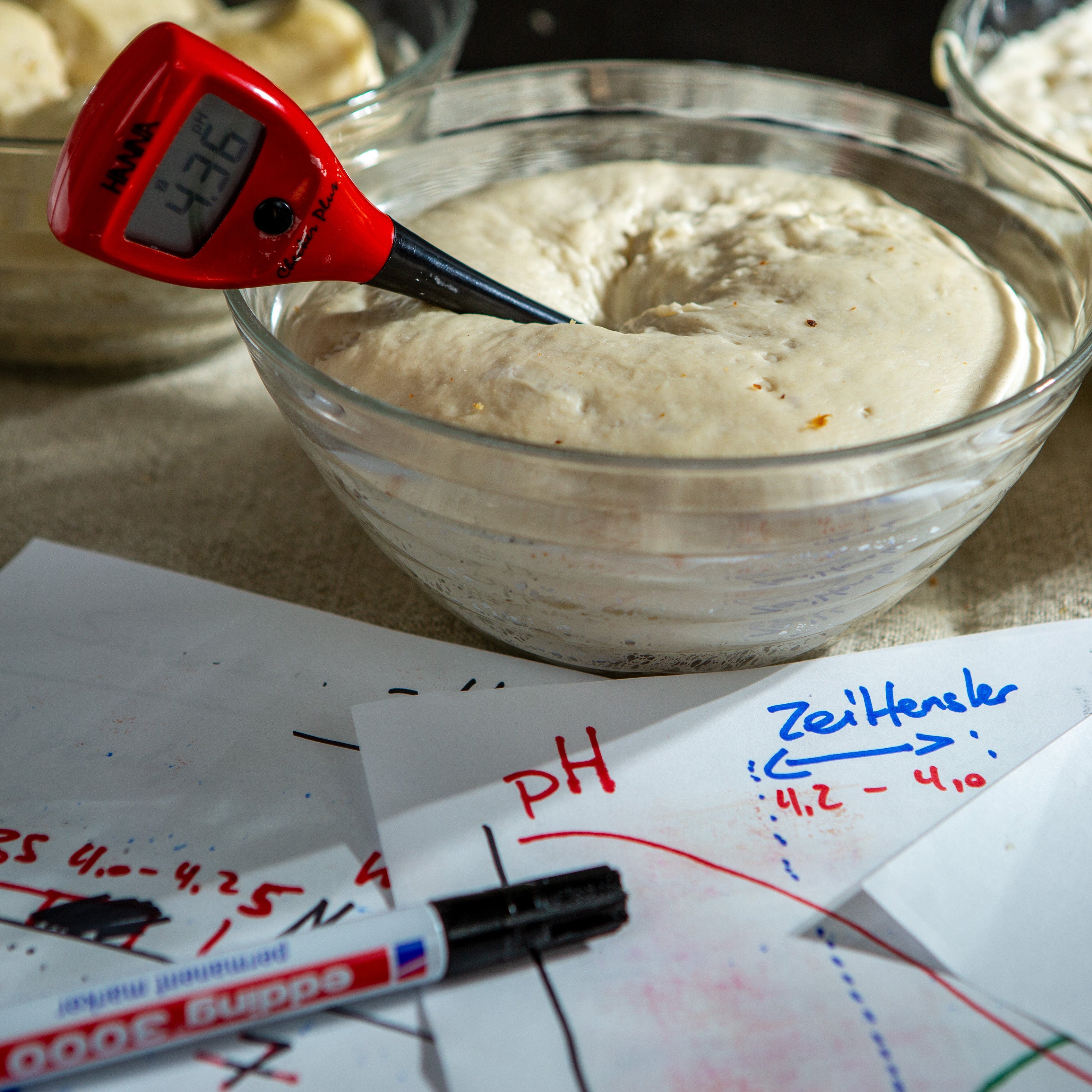 Sauerteig pH-Wert