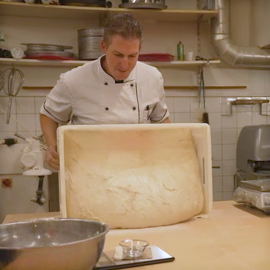 Brotbacken Special - Vielfalt an Getreide & Triebmittel - Backen in der Backstube