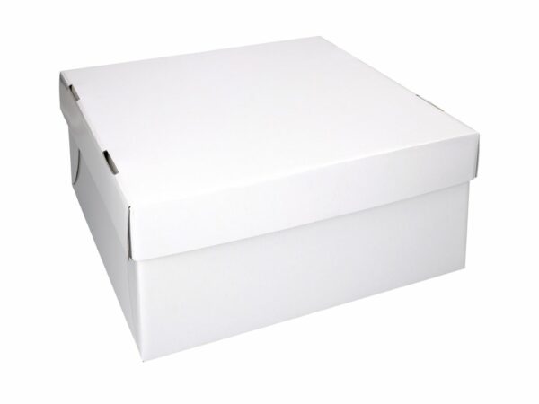 Tortenkarton weiß 31 cm 5er Set