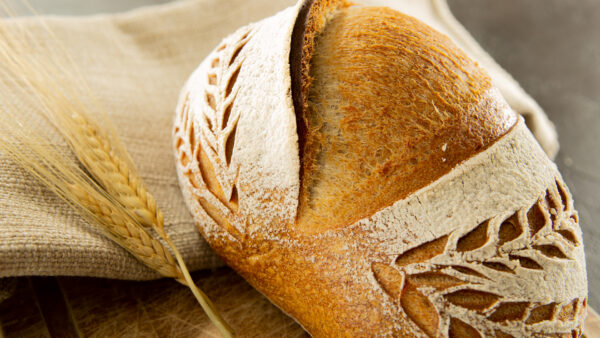 Bread Scoring